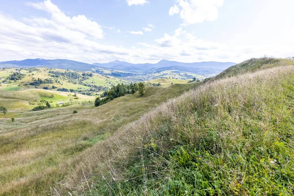 Bir yaz günü Ukrayna Karpatları 'nda dağ panoraması.