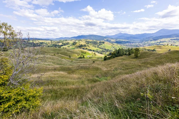 Bir yaz günü Ukrayna Karpatları 'nda dağ panoraması.