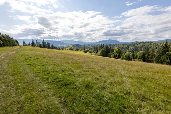 Bir yaz günü Ukrayna Karpatları 'nda dağ panoraması.
