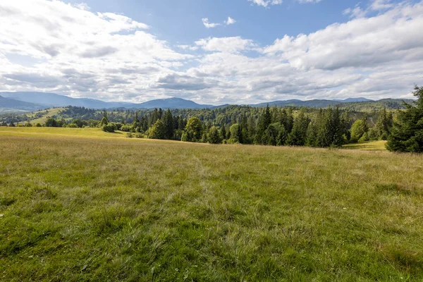 Bir yaz günü Ukrayna Karpatları 'nda dağ panoraması.