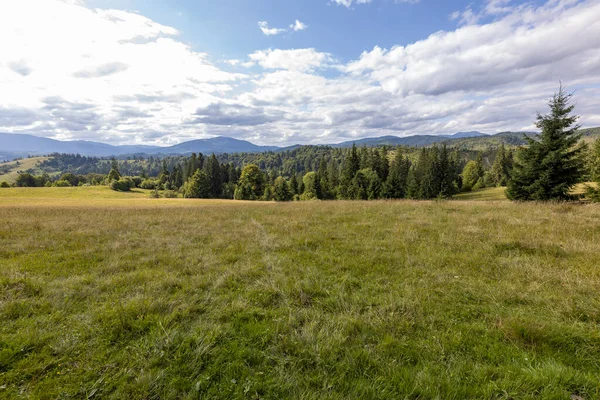 Bir yaz günü Ukrayna Karpatları 'nda dağ panoraması.