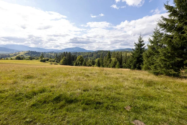 Bir yaz günü Ukrayna Karpatları 'nda dağ panoraması.