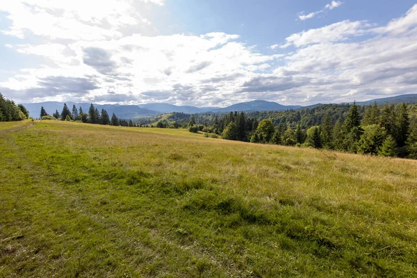 Bir yaz günü Ukrayna Karpatları 'nda dağ panoraması.