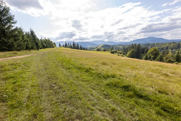 Bir yaz günü Ukrayna Karpatları 'nda dağ panoraması.