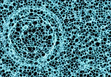 Mikroskop altında bir virüsün 3 boyutlu görüntüsü.