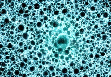 Birçok virüs vücudunun tasviri, detaylı makro görünüm.