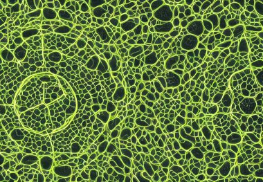 Birçok virüs vücudunun tasviri, detaylı makro görünüm.