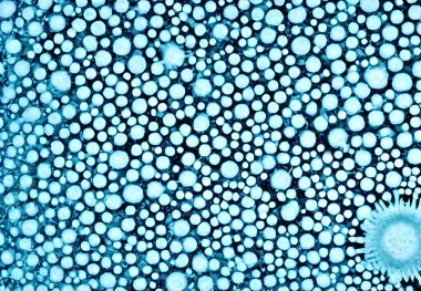 Virüs vücutları, illüstrasyon detaylı 3B makro görünüm.