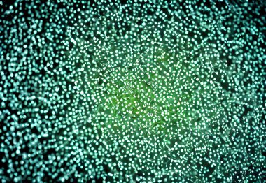 Virüs vücutları, illüstrasyon detaylı 3B makro görünüm.