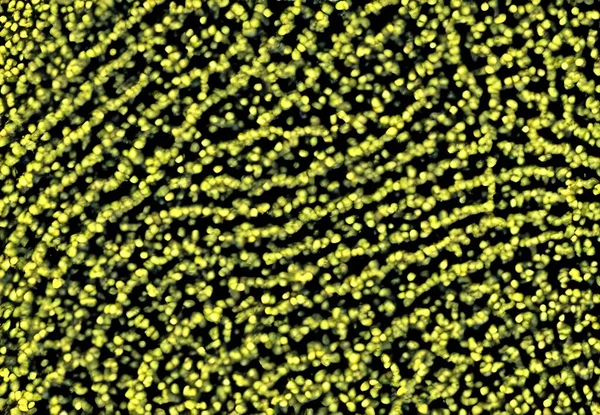 Illustration Viruskörper Detaillierte Makroansicht — Stockfoto
