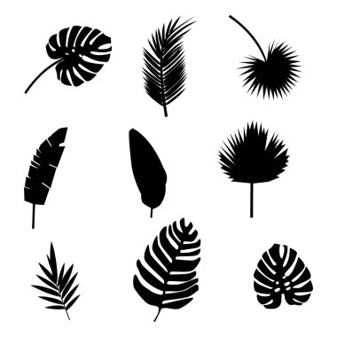 Beyaz arka planda izole edilmiş palmiye yaprakları. Doğa kavramı. Vektör illüstrasyonu