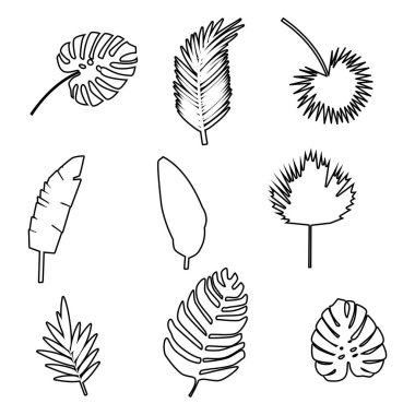 Beyaz arka planda izole edilmiş palmiye yaprakları. Doğa kavramı. Vektör illüstrasyonu