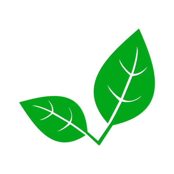 Hoja Verde Natural Icono Hoja Formas Estilo Plano Moderno Vector — Archivo Imágenes Vectoriales