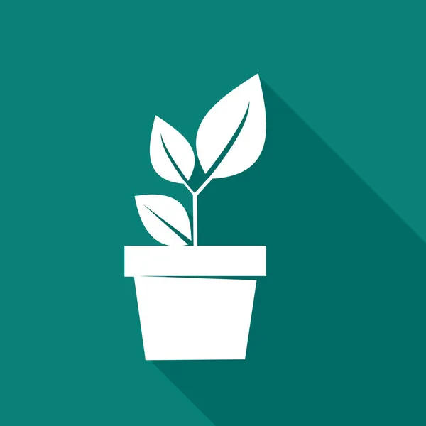 Modern Plant Pot Icoon Plantenpot Logo Natuur Concept Vector Illustratie — Stockvector