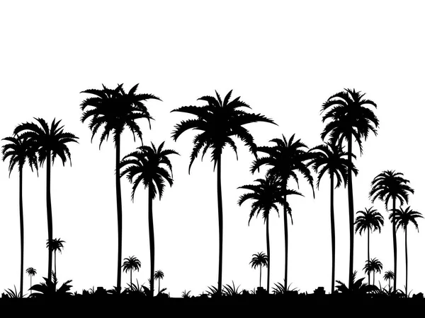 Silhouettes Cocotiers Isolés Sur Fond Blanc Illustration Vectorielle — Image vectorielle