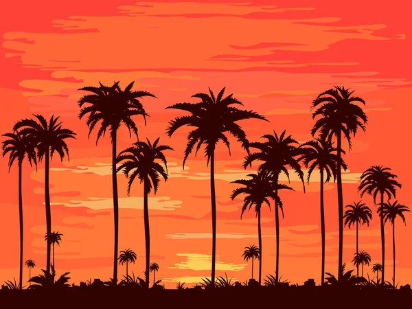 晚上在海滩上 夏日的橙色天空和椰子树的影子 — 图库矢量图片