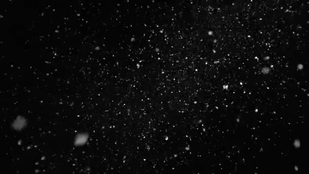 Vue Sur Fond Noir Flocons Neige Tombant — Video