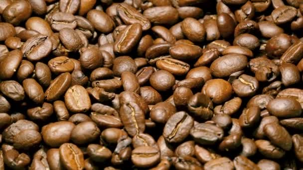 Coffee Beans Freshly Roasted Selective Focus — Stock Video