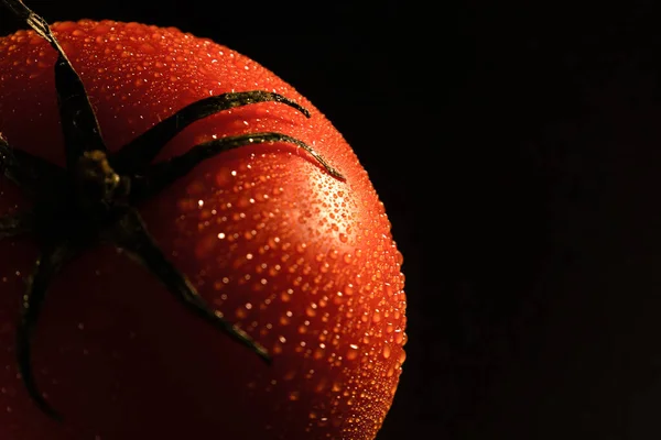 Rote Tomate Mit Wassertropfen Selektiver Fokus — Stockfoto