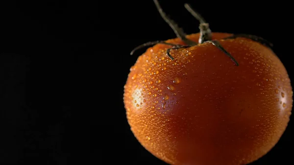水滴付きの赤いトマト。選択的焦点. — ストック写真