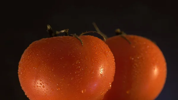 Due pomodori rossi con goccioline d'acqua. Focus selettivo. — Foto Stock