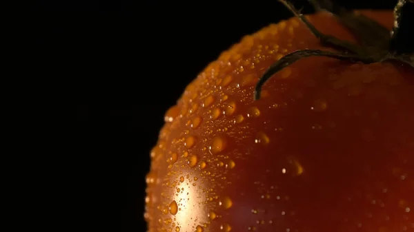 Red tomato with water droplets. Selective focus. — Stock Photo, Image