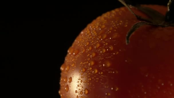 Tomato with water droplets rotating on a black background — Stock Video