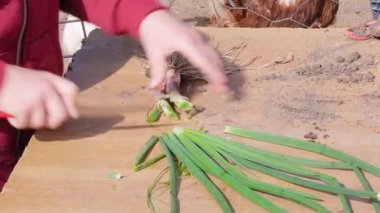 Childs 'ın elleri tarlada bir bıçakla taze soğan kesiyor..