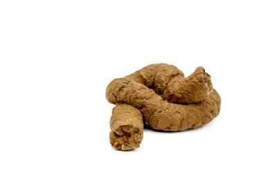 Plastic poop isolated on white background. Selective focus.