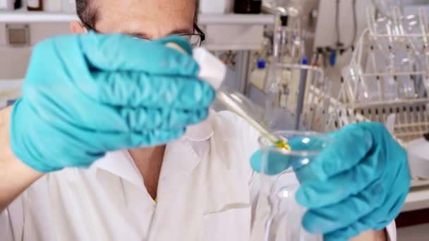 Scientist Performing Experiment Laboratory Celebrating Scientific Discovery Selective Focus — Αρχείο Βίντεο