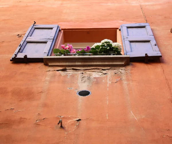 Finestra con persiane aperte e fiori - vista dal basso — Foto Stock