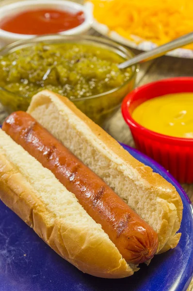 Hot dog makan siang — Stok Foto