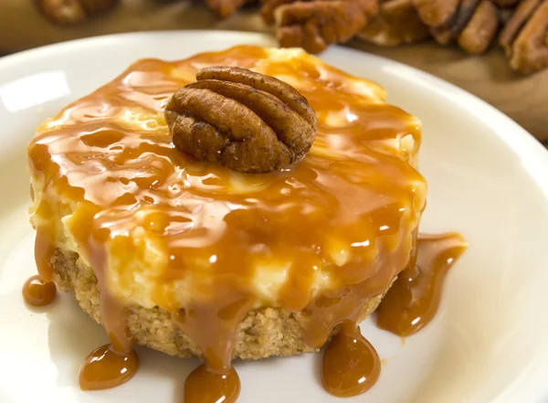 Pecan cheesecake — Stock Photo, Image