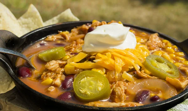 Soupe de légumes de poulet épicée — Photo