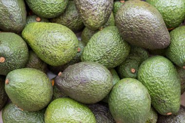Pile of green Avocado background
