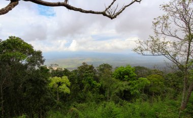Ağaçlar, tepeler ve mavi gökyüzü. Yukarıdan destansı bir manzara. Khao Yai, Ulusal Park, Tayland.