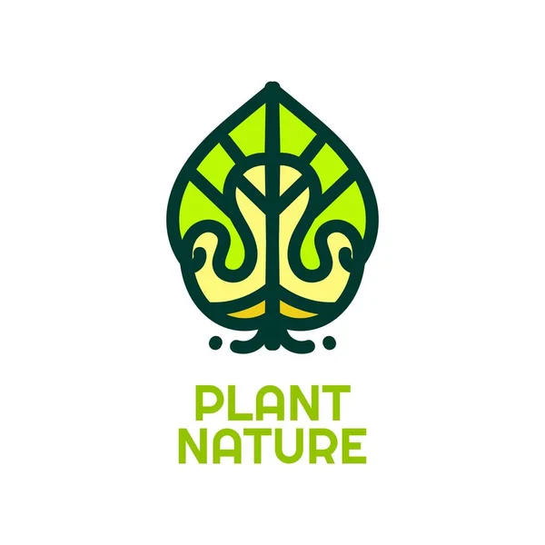 Příroda Rostlina Příroda Logo Koncept Design Ilustrace — Stockový vektor