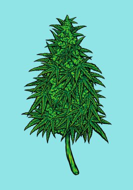 Weed Cannabidiol Leaf Plant Vector illustrations for your work Logo, mascot merchandise t-shirt, stickers and Label designs, poster, greeting cards advertising business company or brands. clipart