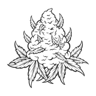 Weed leaf plant medicinal hemp monochrom vector illustrations for your work logo, merchandise t-shirt, stickers and label designs, poster, greeting cards advertising business company or brands clipart