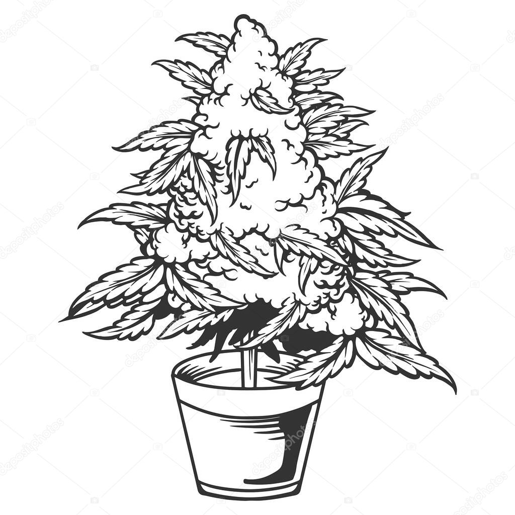 Weed leaf plant with pot silhouette vector illustrations for your work logo, merchandise t-shirt, stickers and label designs, poster, greeting cards advertising business company or brands