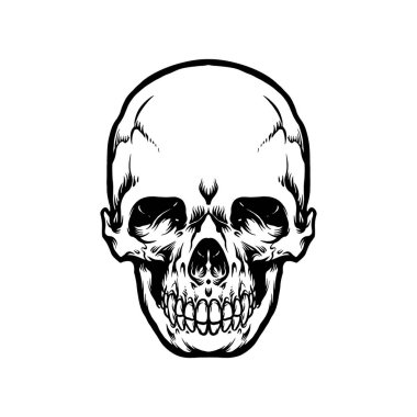 Head Skull Anatomy Silhouette Vector illustrations for your work Logo, mascot merchandise t-shirt, stickers and Label designs, poster, greeting cards advertising business company or brands.