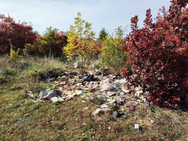 Ormandaki plastik çöp yığını. Doğada kirlilik ve çöplük sorunu