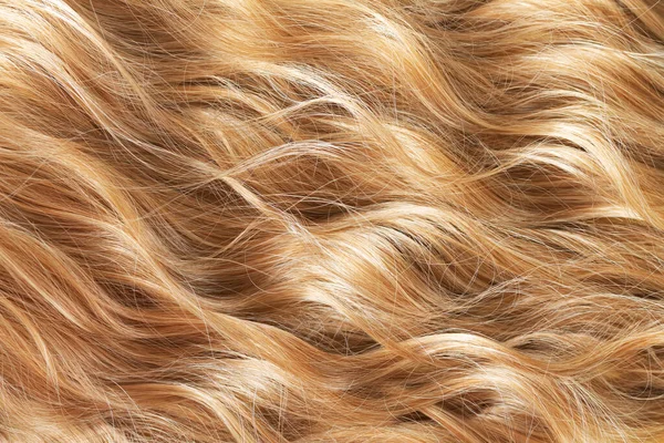 自然的金黄色波浪般的长发的纹理 头发剪裁 护理或延伸概念 — 图库照片