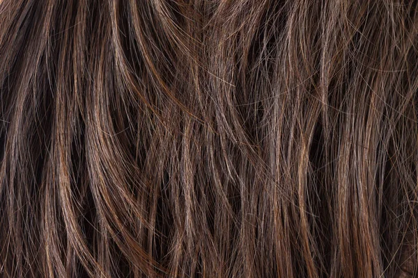 Textura Pelo Liso Morena Oscura Natural Corte Cabello Peinado Cuidado —  Fotos de Stock