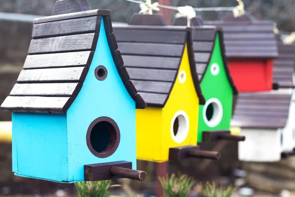 Grupo Casas Pássaros Madeira Coloridas Caixa Aninhamento — Fotografia de Stock
