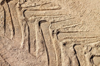 Kum yolundaki traktör ya da ATV lastik izi. Üst görünüm