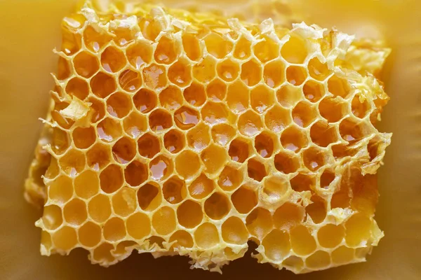 Texture Fresh Honeycomb Honey Top View — Stock fotografie