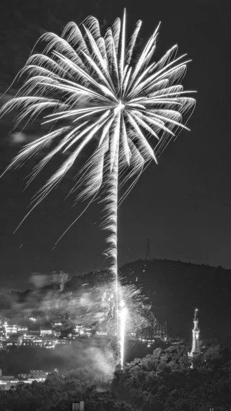 Night Images New Year Reveillon Fireworks Exploding Sky Event Held — Foto Stock