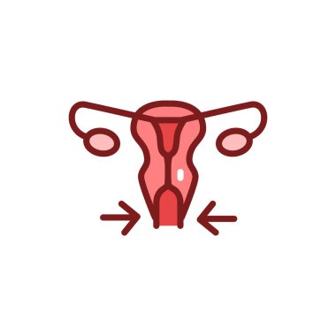 Özel plastik kadın üreme sistemi renk çizgisi simgesi. Web sayfası için pictogram özeti.