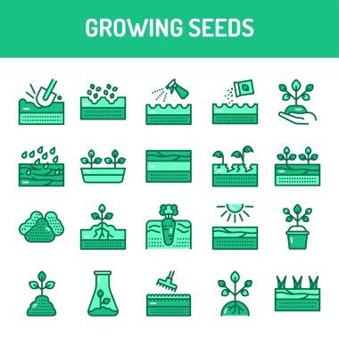 Büyüyen tohumlar renk çizgisi simgeleri. Web sayfası için piktogramlar, mobil uygulama, tanıtım.